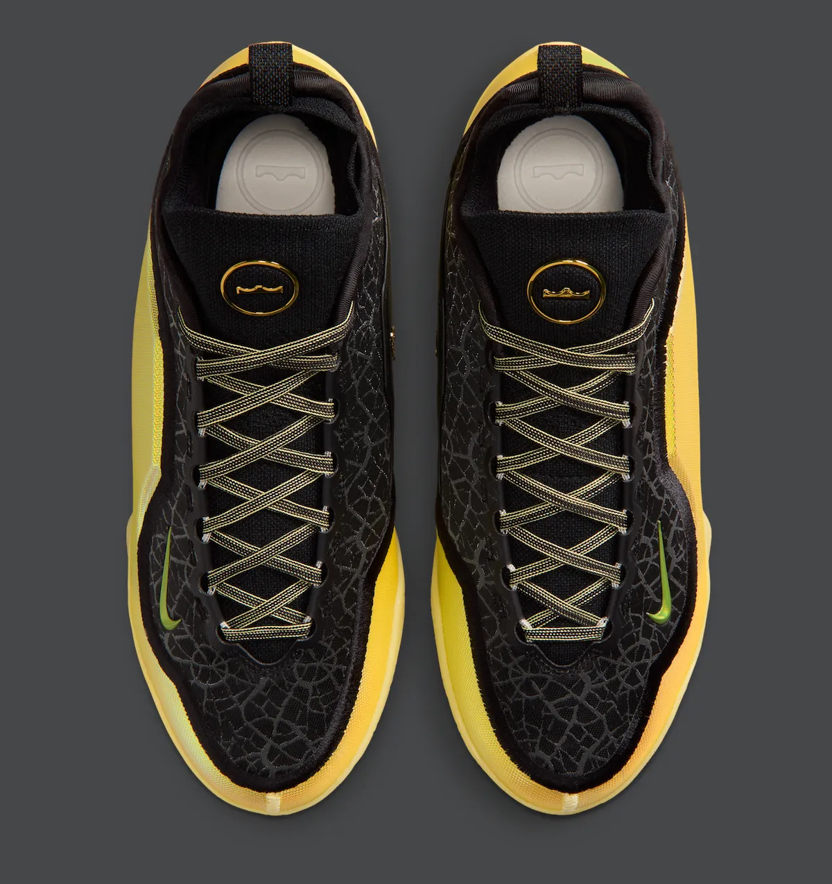 Nike LeBron 23 Elite Hurt Feelings vista del degradé iridiscente
